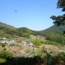 유곡리경로당 티스토리