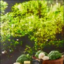 온누리케어 이미지