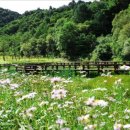 공작산생태숲 이미지