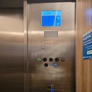 내야내야 똥강아지 | [밴쿠버임신] 밴쿠버 출산후기 + 임신타임라인 총정리(경 뽁떵이태어나다 축)