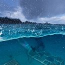 Being Fore 이미지