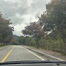 램프의향기 | [충주월악산카페] 램프의향기 - 내돈내산!! 엔틱 감성 수안보 카페 '커피,전통차맛집'