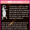 더 유니버스 홍대