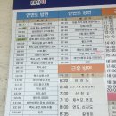 엘로망 | 몽산포 펜션 엘로망펜션간단후기 + 맛조개 잘잡히는곳!