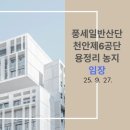 일반산업단지(교차로) | [임장] 풍세일반산업단지, 천안제6공단, 용정리 농지