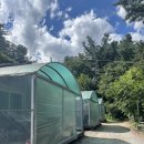 토리펜션 | [가평] 계곡도 가깝고 수영장도 함께 있고 스파까지 가능한 독채펜션 ‘가평토리펜션’ 내돈내산 후기!