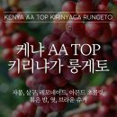 알트로