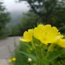 국립운장산자연휴양림 이미지