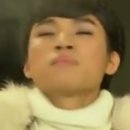 롤리아