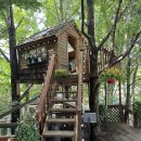 더가드너 이미지