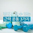 집에서 할 수 있는 근력 운동 3가지 이미지