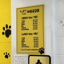 망쿠애견샵 이미지