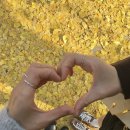 라리체타 이미지