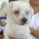 서림동-31 이미지