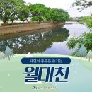 자연의 풍류를 즐기는, 월대천제주 여행을 이미지