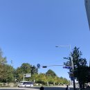 오성애드 - 광진구 자양로13길 20 | 서울 호캉스 여의도 콘래드호텔 이그제큐티브룸에서 친구들과 1박한 내돈내산 후기