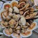 감성조개 이미지