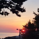 루미너스풀빌라 이미지