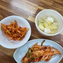 숙이네죽팥칼국수 | 부안 전통시장 맛집 '전주분식' - 국산 팥 새알죽과 실한 바지락 칼국수 | 내돈내산 후기