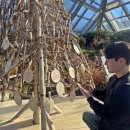 국립백두대간수목원 판매센터 이미지