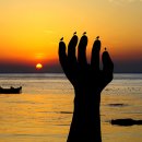 포항종합제철(주) - 11801 | 포항종합제철(주)