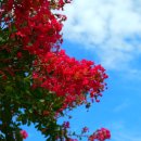 중동전기철물 이미지