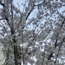 2680 | 25.4.9.수 유성구 계산동에서 가로3800-세로 2680 폴딩도어 주름방충망 제작 설치 후기.