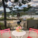 빠빠에피 이미지