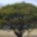 다복솔농장 이미지