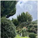 돌담집민박 이미지