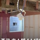 스테이눅