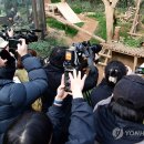 한국 최초의 &#39;유명 인사 판다&#39; 푸바오, 이별의 시간을 맞이하며 ㅠㅡㅠ 이미지