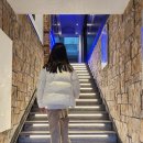 도그 앤 캣츠 이미지