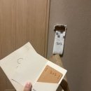 스테이더아람B | 삼척 스테이 시소소 - 화온재B | 삼척 여행 숙소 추천 데이트 기념일 여름휴가