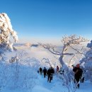 태백산 - 김포시 양곡3로1번길 26-5 | 태백산