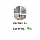 곽망우당묘소 이미지