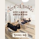 (주)혜윰 | [공지] 명지 필라테스 혜윰, 임산부 4:1 그룹 필라테스 모집! 원장직강 산전 필라테스