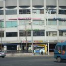 모나리자치과 Daum카페