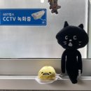 띠용마켓 이미지