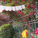 풍덕동 행정복지센터 이미지