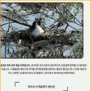 치아살리기 드림365치과의원 | 치아살리기드림365치과의원 치과 정기검진 받고 느낀 변화