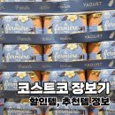 담아담아&장봐주는언니 | 코스트코 오픈런 장보기 후기 | 할인템 위주로 담아온 6월 구매목록