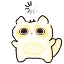 고운안경 이미지