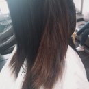 엉아돈한판 이미지