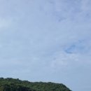 서해바지락 이미지