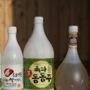 곡성-182 네이버블로그