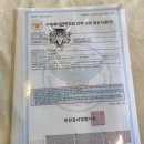 용암초교 병설유치원 이미지