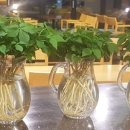 증포동사무소 이미지