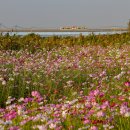 삼락생태공원 이미지