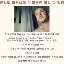 다밀림 이미지